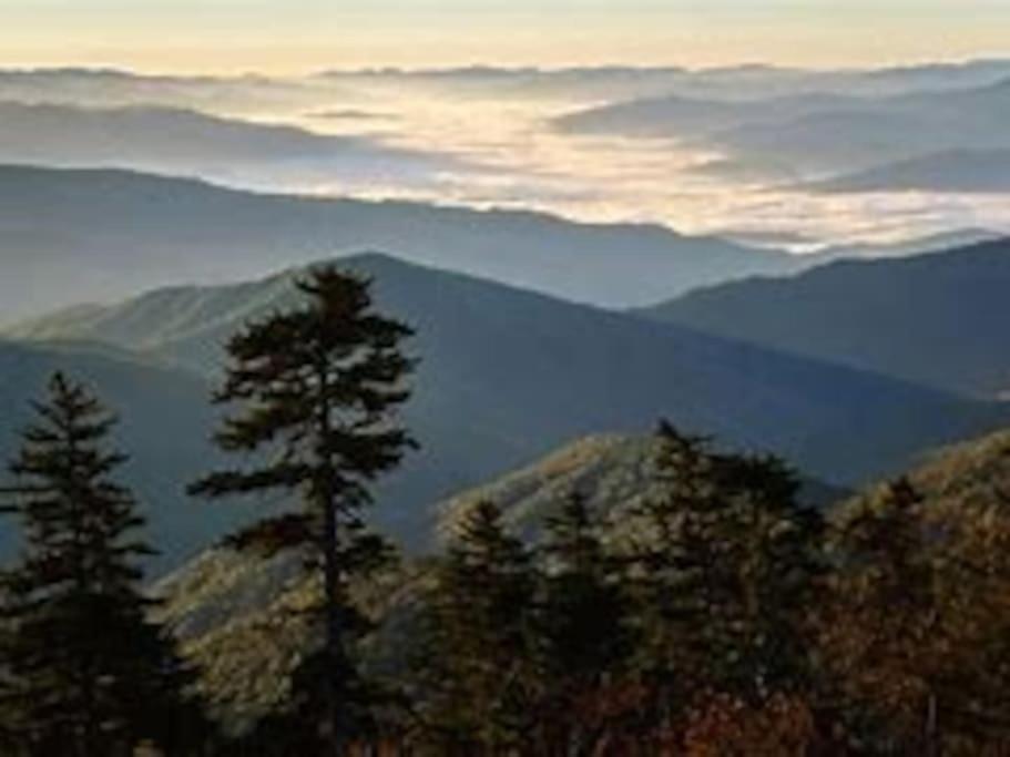 1 Mi To Dollywood Mins To All Attractions & Gsmnp Sevierville Exterior photo