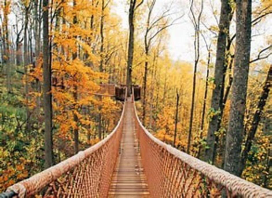 1 Mi To Dollywood Mins To All Attractions & Gsmnp Sevierville Exterior photo